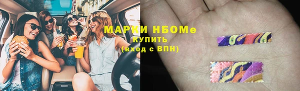 шишки Балахна