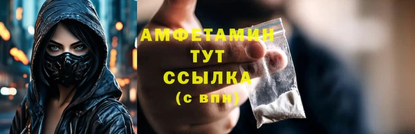 шишки Балахна