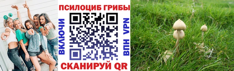 Галлюциногенные грибы Cubensis  сколько стоит  Гороховец 